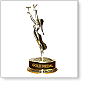 Gold Medal Award