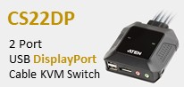 CS22DP