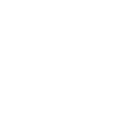 RC-Icon_99-046_Essentials-GaN-Chip