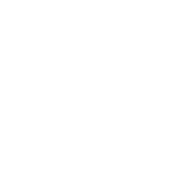 RC-Icon_99-051_Essentials-5A-High-Current