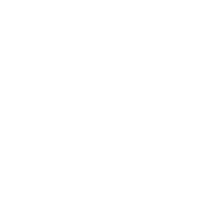 RC-Icon_44_Essentials-18Gbps-Max-Bandwidth