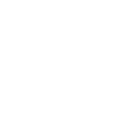 RC-Icon_91_Essentials-Accent-light