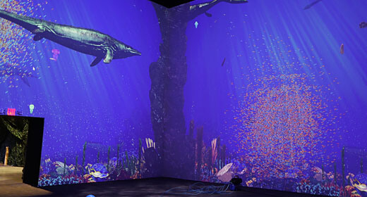 Exhibition Hub − Video and Sound Distribution for Immersive Exhibit − USA